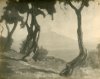 1928 - Mattinata sorrentina